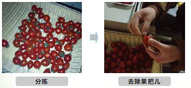 微商零售传媒, 生鲜蔬菜商品包装及加工标准要求