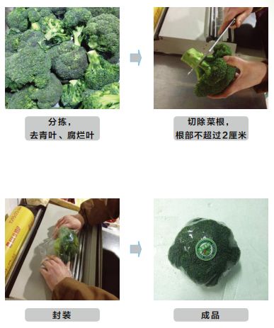 微商零售传媒, 生鲜蔬菜商品包装及加工标准要求
