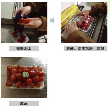 微商零售传媒, 生鲜蔬菜商品包装及加工标准要求