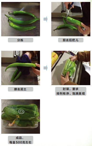 微商零售传媒, 生鲜蔬菜商品包装及加工标准要求